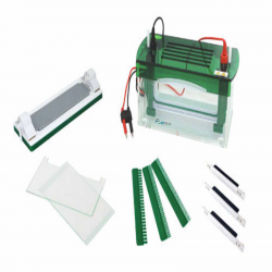Vertical Electrophoresis System LVES-A11